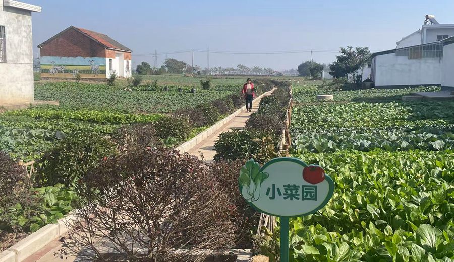 微信图片_20250424103443_副本.jpg