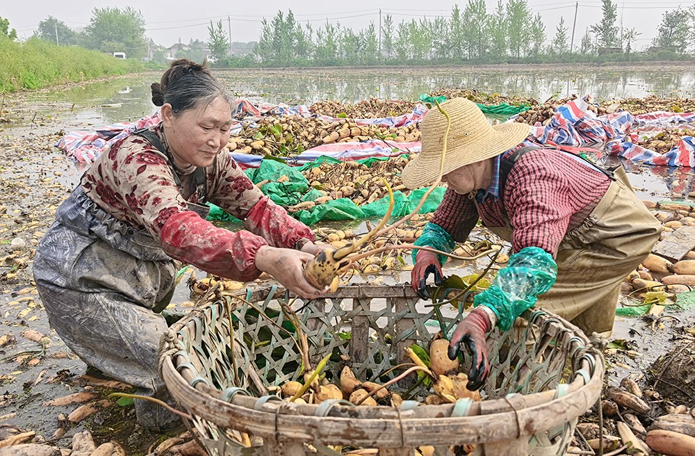 微信图片_20260417095134_318_169.jpg